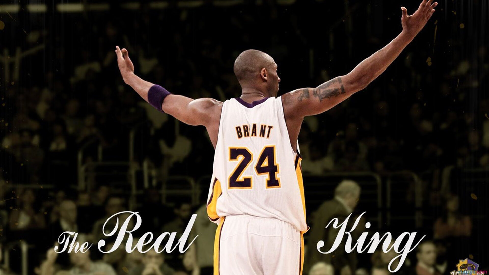 抢七之夜，伦纳德里程碑背后的孤独与回响